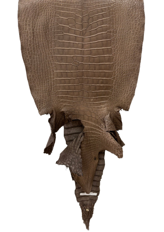 50 cm Grade 3/4 Cocoa Matte Matte Wild American Alligator Leather - Tag: LA23-0040457