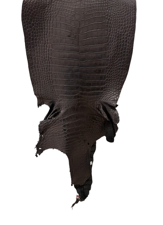 41 cm Grade 3/4 Black Matte Wild American Alligator Leather - Tag: LA24-0022561