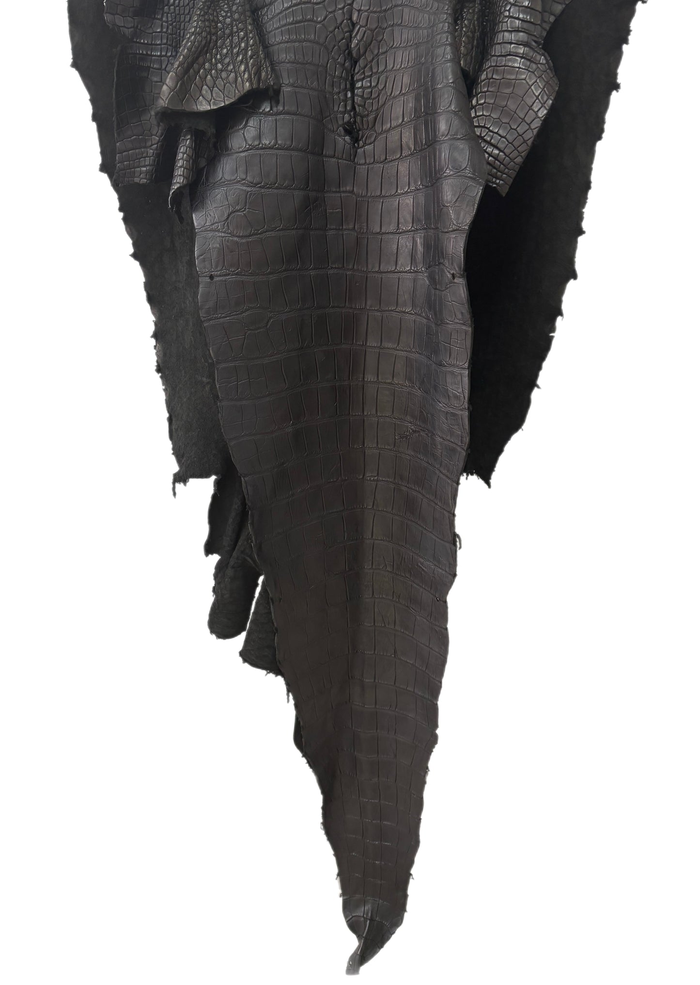 73 cm Grade 3/4 Black Matte Wild American Alligator Leather - Tag: LA24-0011353