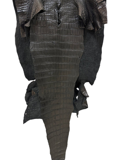 56 cm Grade 4/5 Black Matte Wild American Alligator Leather - Tag: FL24-0077645