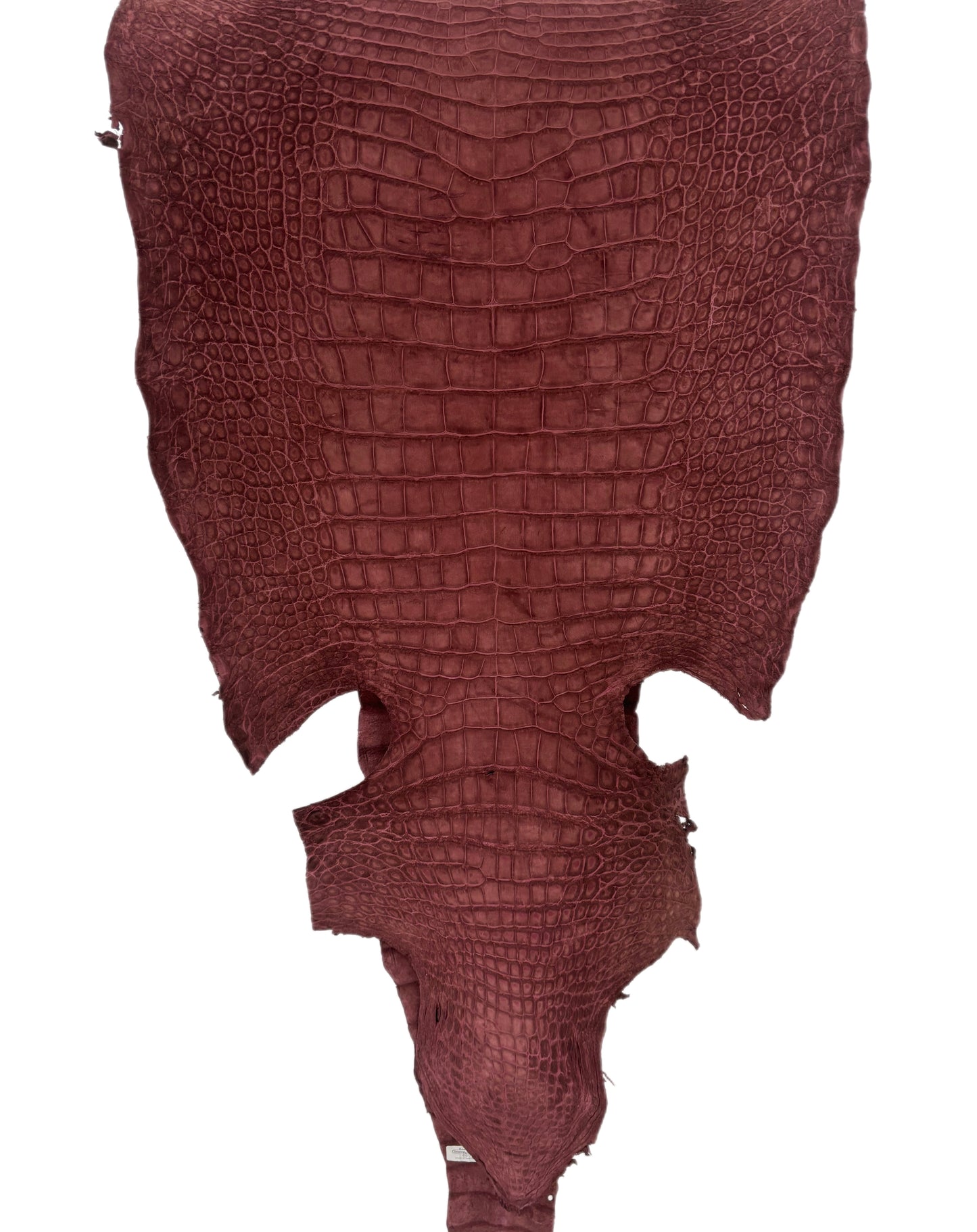 48 cm Grade 3/4 Bordeaux Nubuck Wild American Alligator Leather - Tag: LA18-0041174