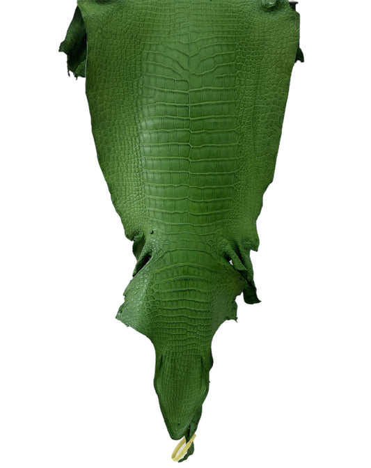 37 cm Grade 3/4 Jungle Green Matte Wild American Alligator Leather - Tag: LA23-0027080