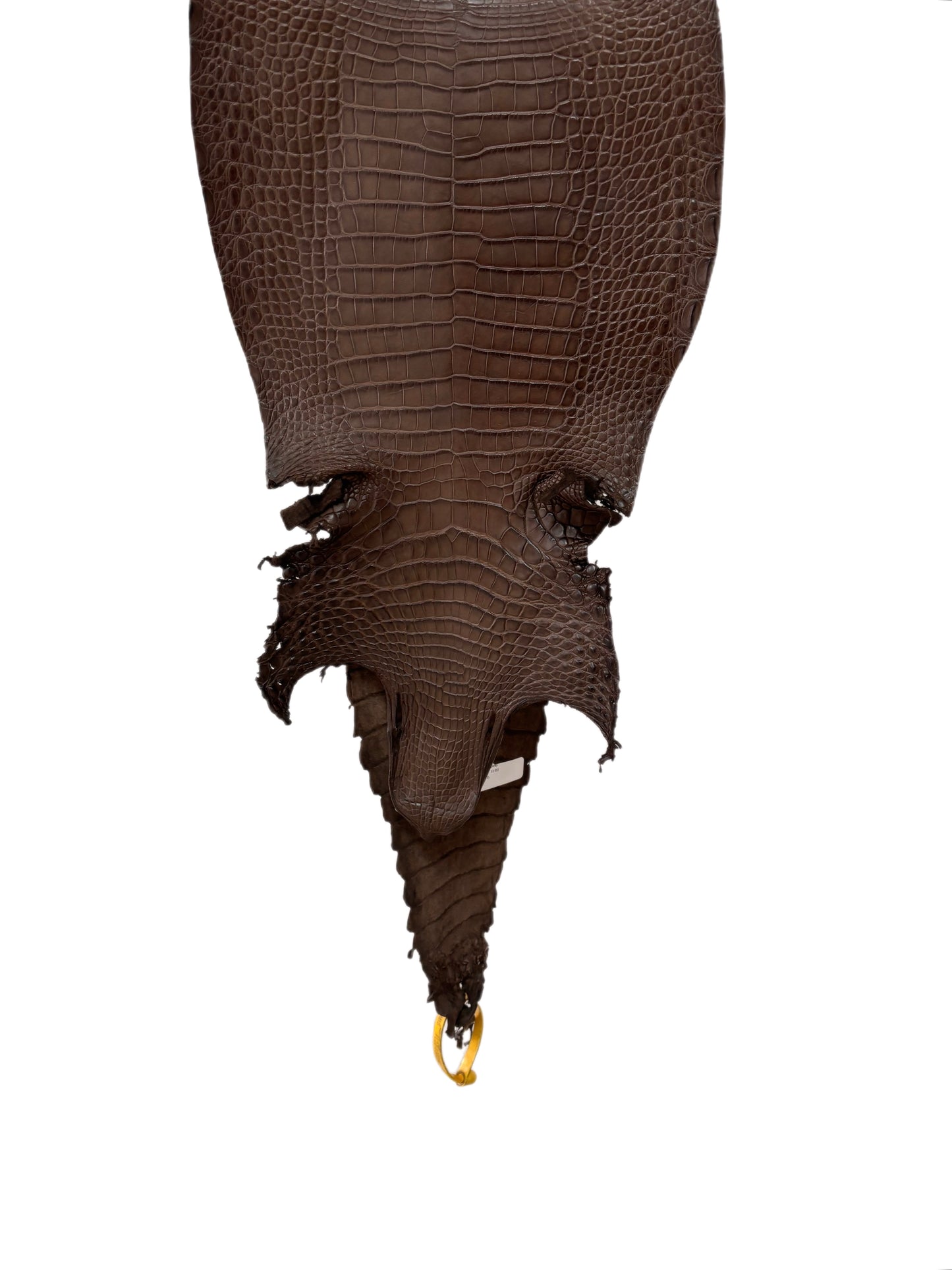 27 cm Grade 2/3 Nicotine Matte Farm-Raised American Alligator Leather - Tag: FL22-0030254