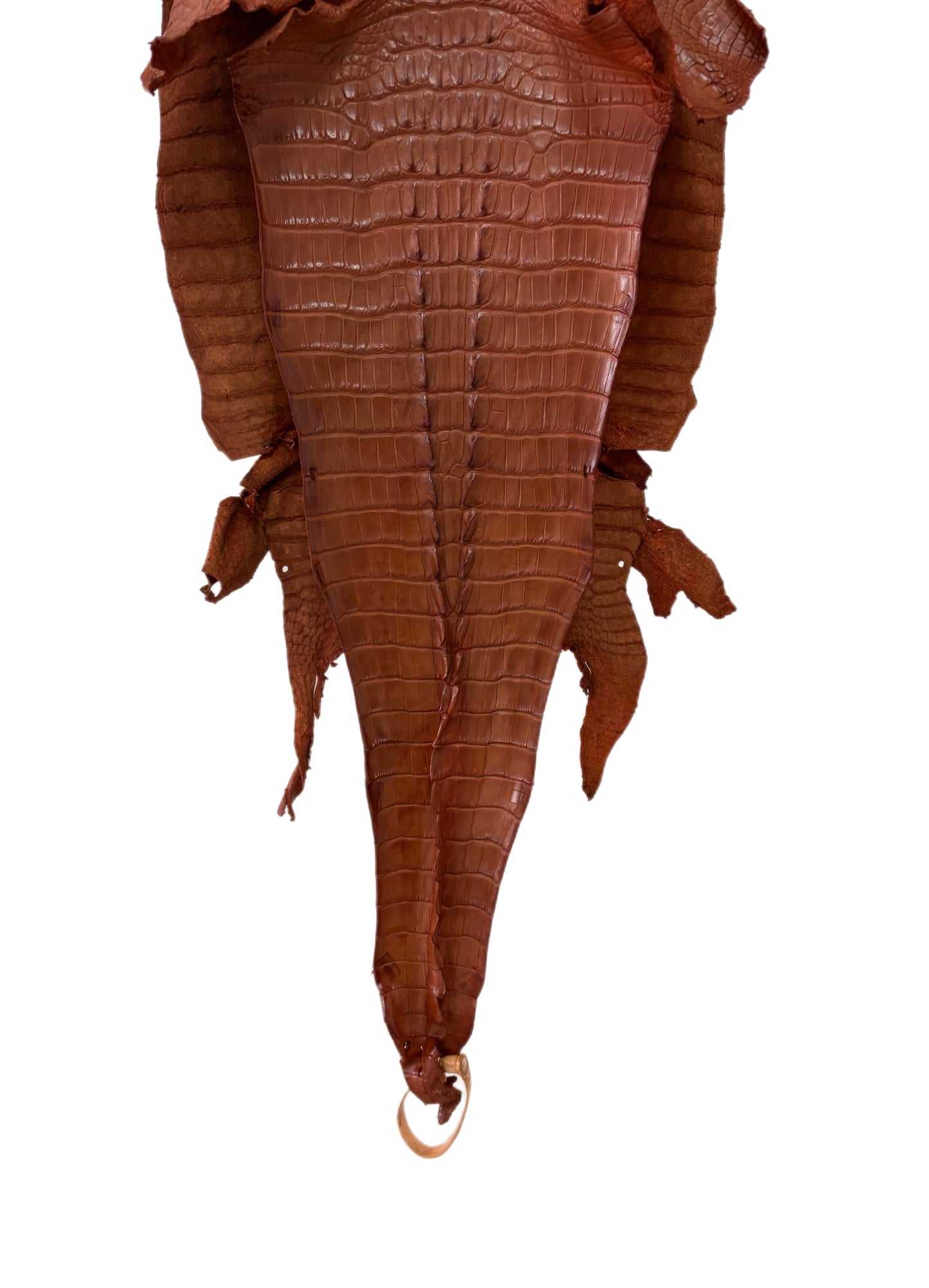 32 cm Grade 1/2 Cognac Matte Farm-Raised American Alligator Hornback Leather - Tag: LA23-0377034