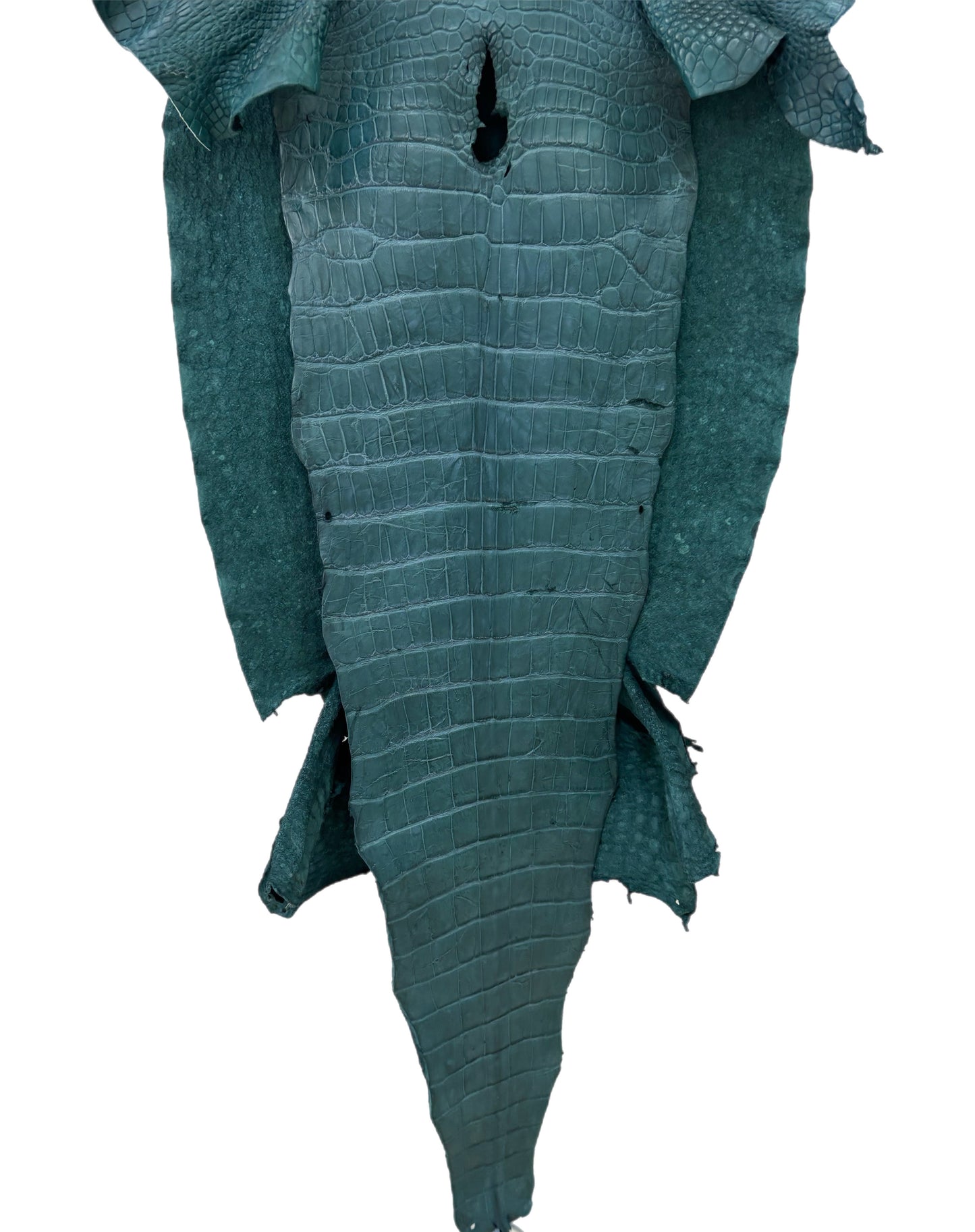 43 cm Grade 3/4 Teal Matte Wild American Alligator Leather - Tag: LA23-0033854