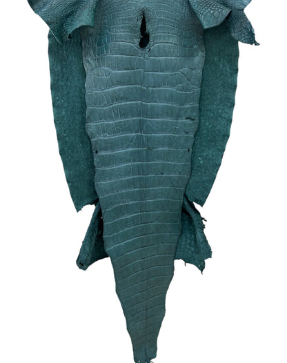 43 cm Grade 3/4 Teal Matte Wild American Alligator Leather - Tag: LA23-0033854