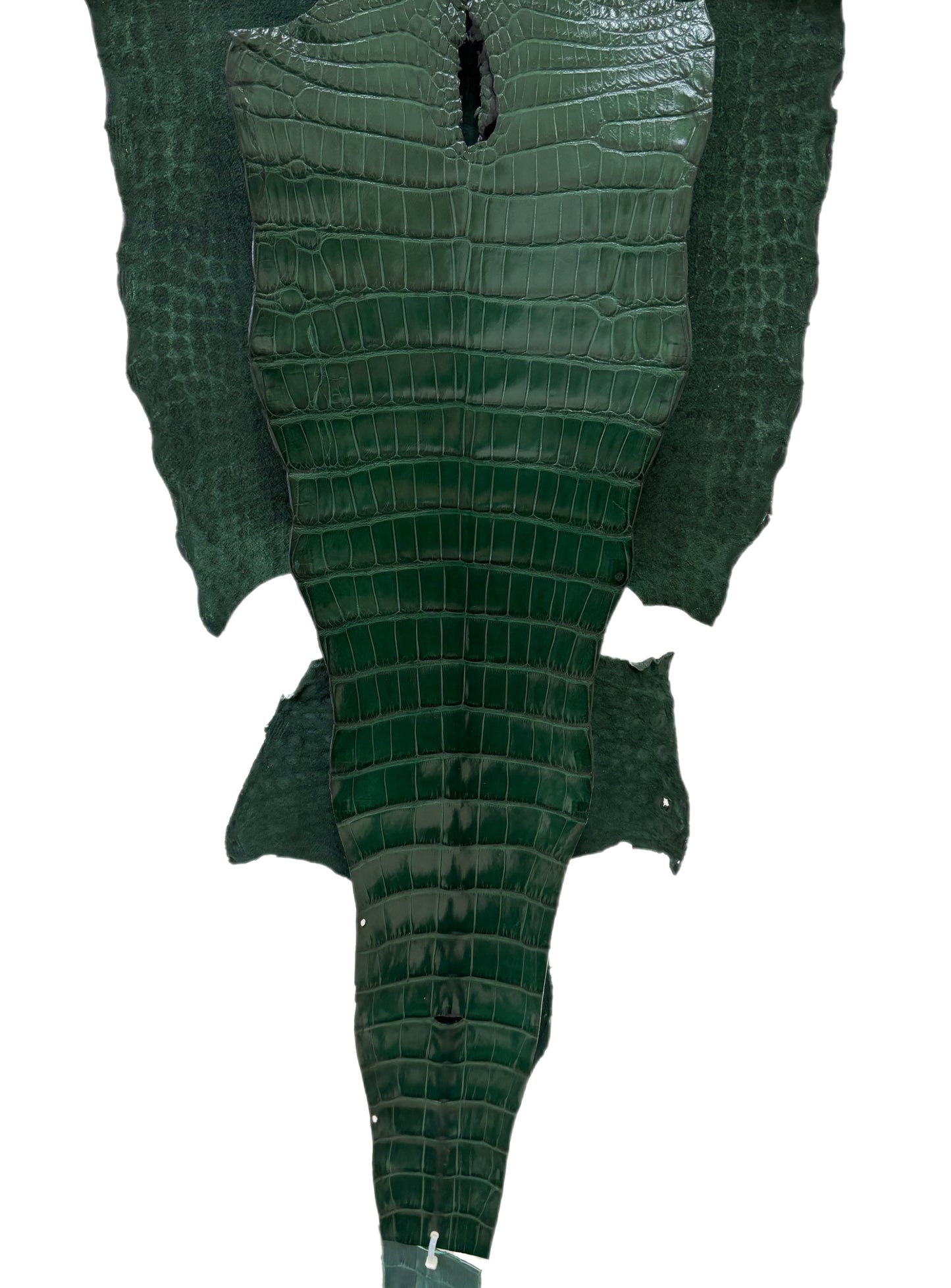 44 cm Grade 1/2 Forest Green Millennium Wild American Alligator Leather - Tag: LA16-0035625