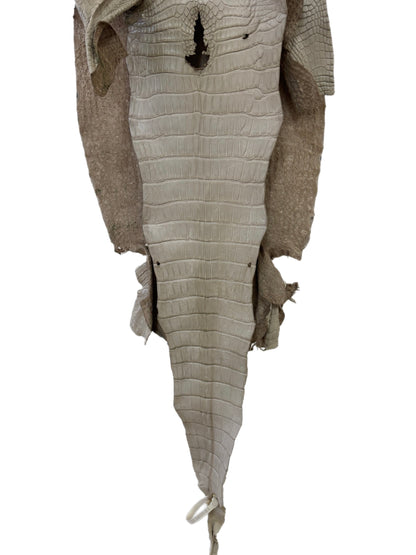 36 cm Grade 2/3 Stormy Matte Wild American Alligator Leather - Tag: LA23-0015405