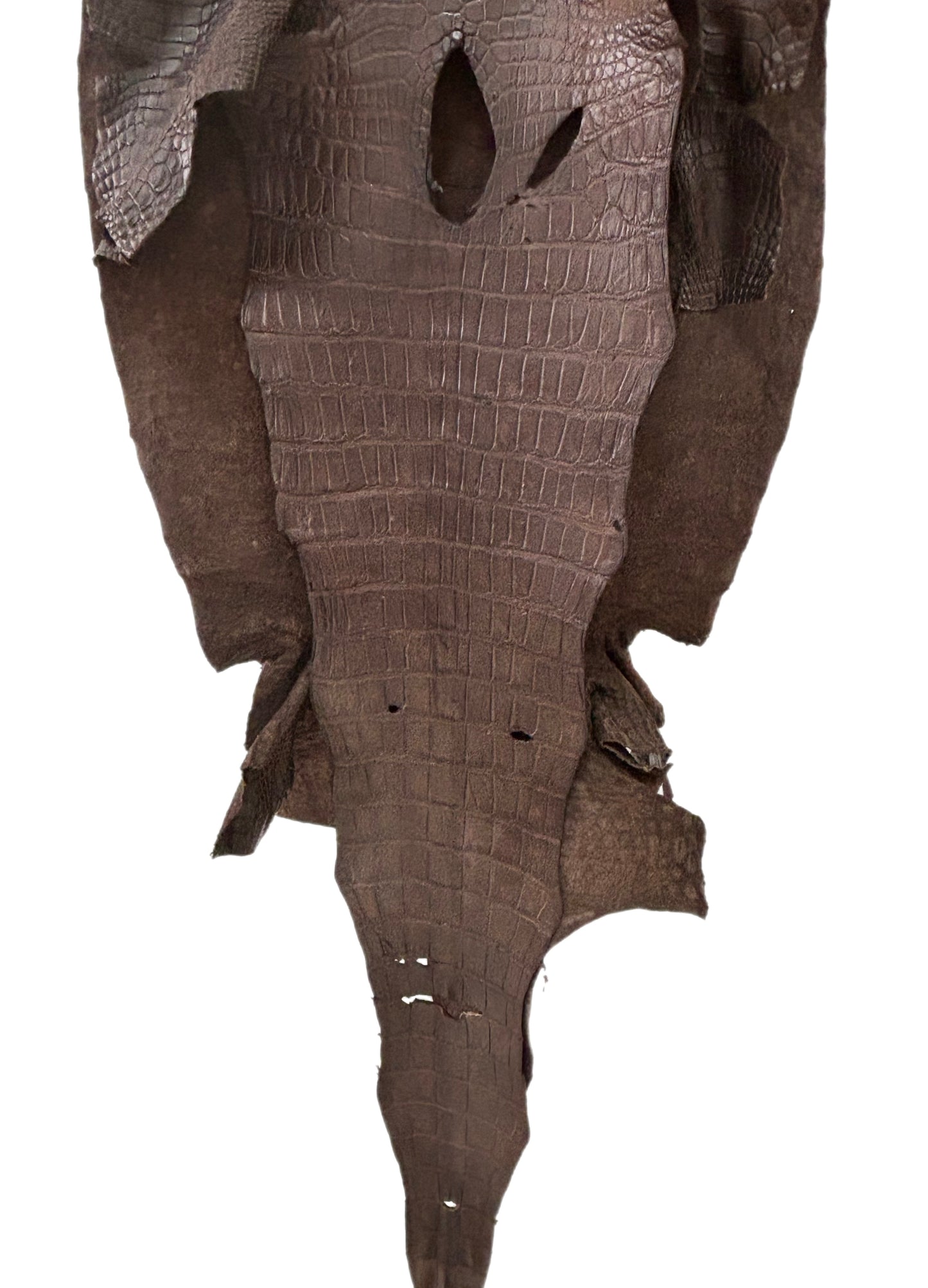 46 cm Grade 3/4 Chocolate Matte Wild American Alligator Leather - Tag: LA24-0024434