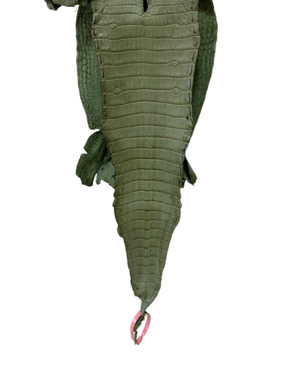 New Color! 25 cm Grade 1/2 Sage Green Matte Farm-Raised American Alligator Leather - Tag: LA24-0228899