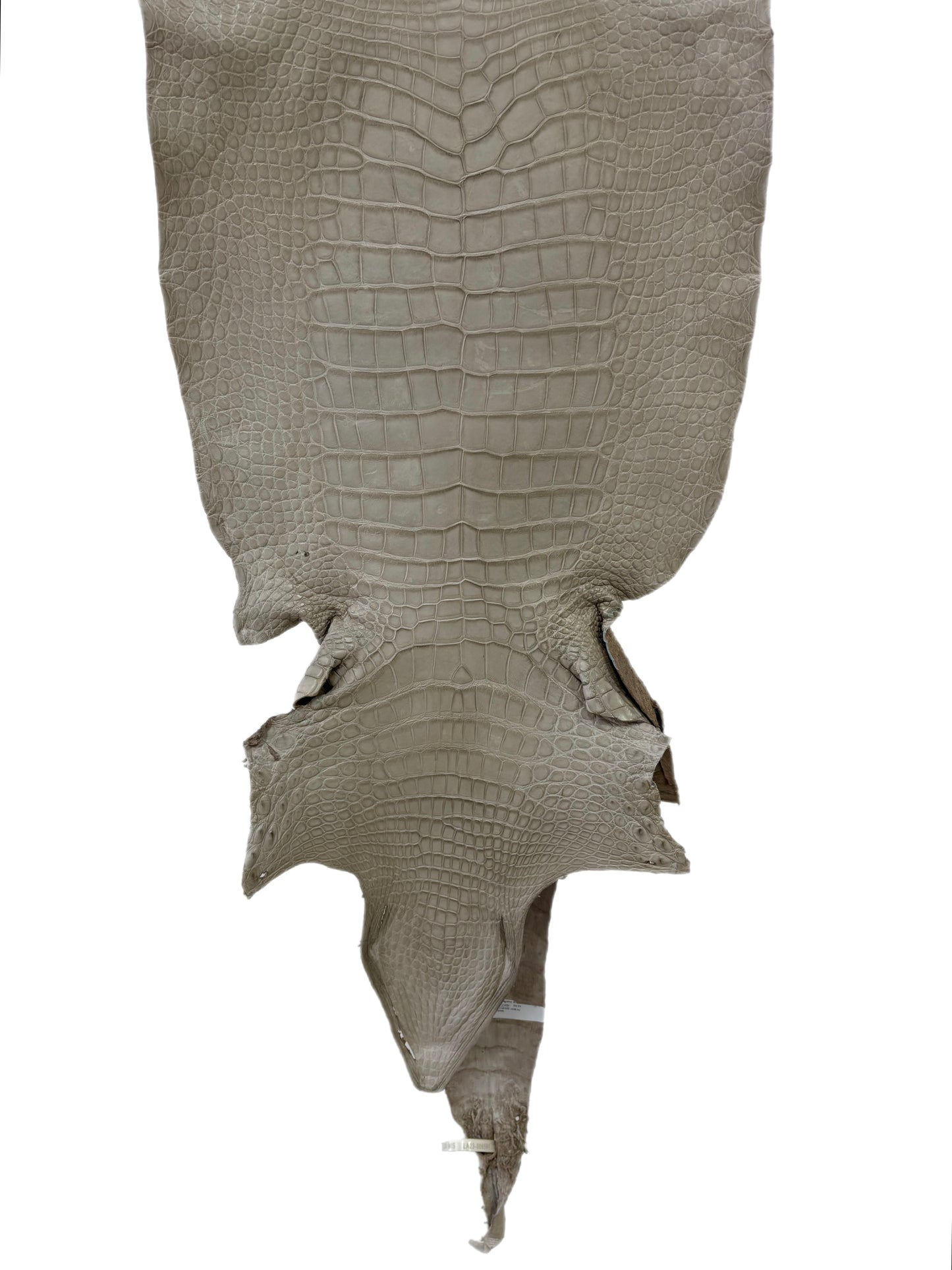 38 cm Grade 3/4 Stormy Matte Wild American Alligator Leather - Tag: LA23-0006591