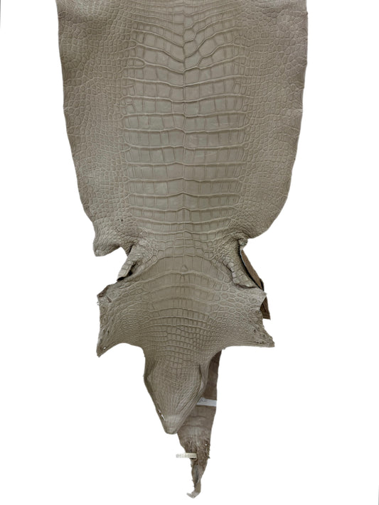 38 cm Grade 3/4 Stormy Matte Wild American Alligator Leather - Tag: LA23-0006591