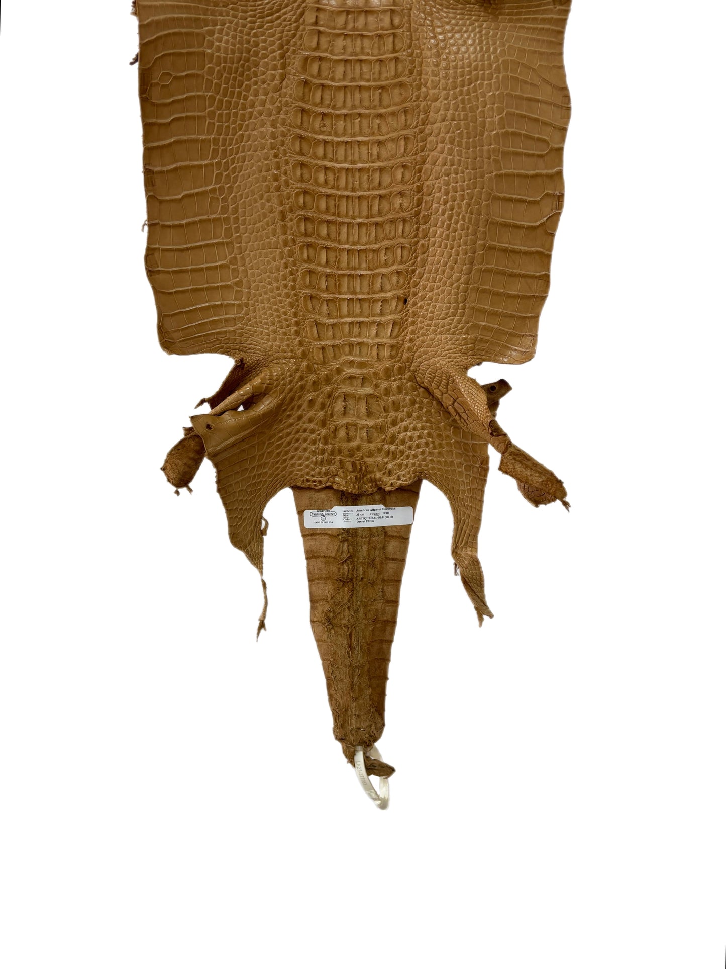 33 cm Grade 2/3 Antique Saddle Matte Farm-Raised American Alligator Hornback Leather - Tag: LA23-0377063