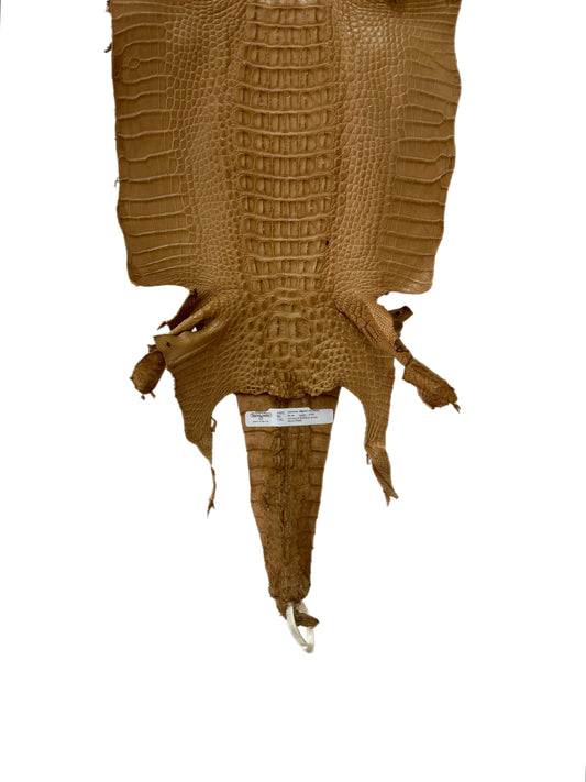 33 cm Grade 2/3 Antique Saddle Matte Farm-Raised American Alligator Hornback Leather - Tag: LA23-0377063