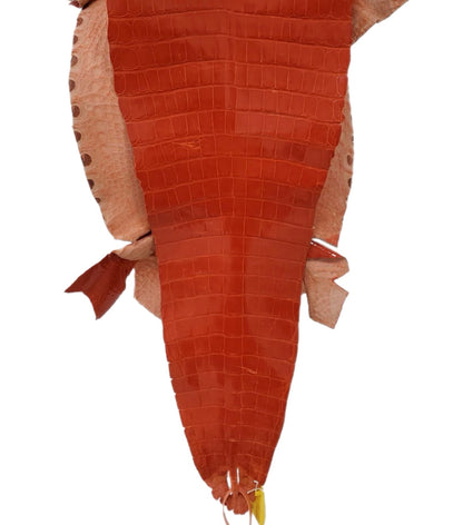 34 cm Grade 1/2 Mandarina Glazed Farm-Raised American Alligator Leather - Tag: GA14-0021768