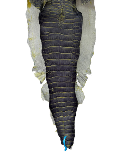 33 cm Grade 3/4 Voltage Matte Wild American Alligator Leather - Tag: ESRE-0051051