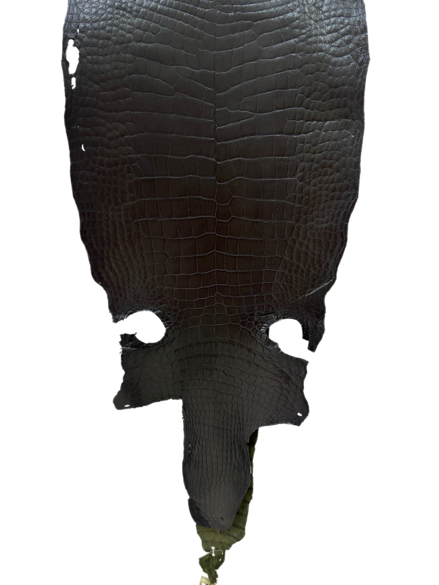 36 cm Grade 3/4 Olive Antique Wild American Alligator Leather - Tag: LA23-0004372