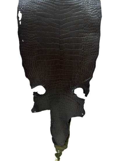 36 cm Grade 3/4 Olive Antique Wild American Alligator Leather - Tag: LA23-0004372