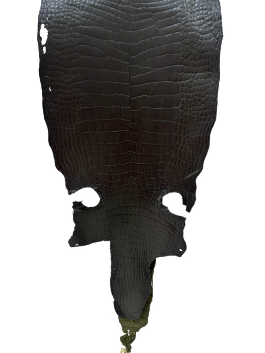 36 cm Grade 3/4 Olive Antique Wild American Alligator Leather - Tag: LA23-0004372