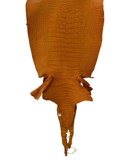 36 cm Grade 2/3 Buttercup Matte Wild American Alligator Leather - Tag: LA23-0003508