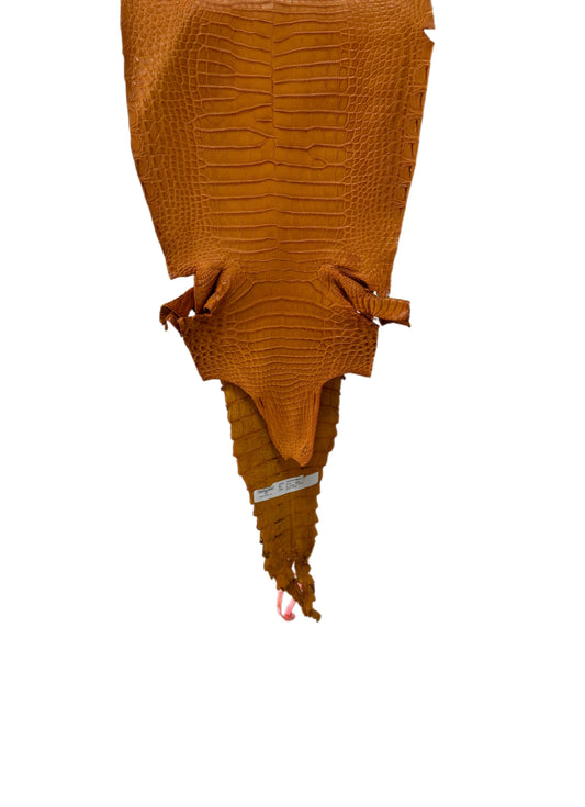 29 cm Grade 1/2 Buttercup Matte Farm-Raised American Alligator Leather - Tag: FL21-0024006