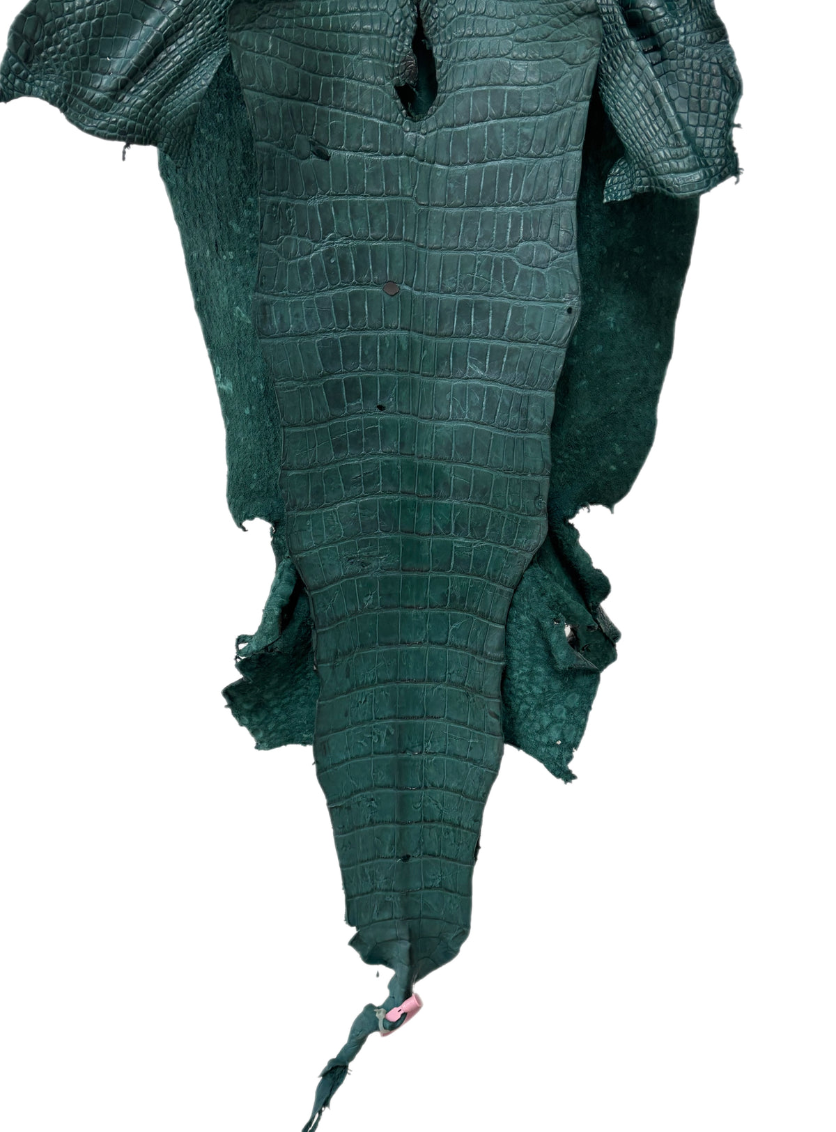 45 cm Grade 4/5 Filigrana Matte Wild American Alligator Leather - Tag: LA24-0016304