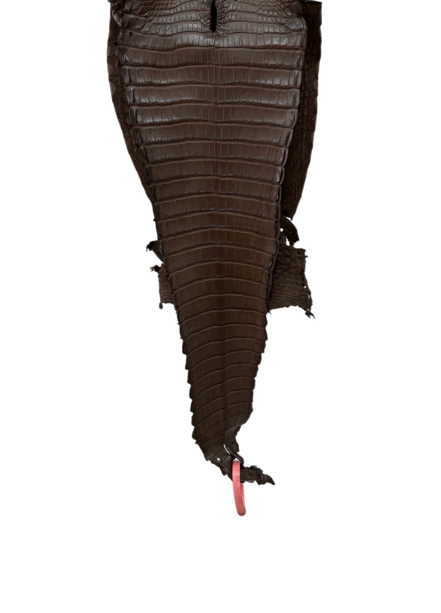23 cm Grade 1/2 Nicotine Matte Farm-Raised American Alligator Leather - Tag: FL21-0025052