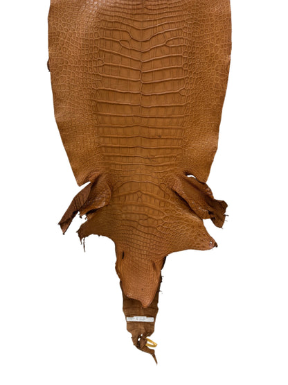 40 cm Grade 3/4 Almond Matte Wild American Alligator Leather - Tag: LA23-0022295