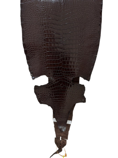 32 cm Grade 1/2 Chocolate Millennium Farm Raised American Alligator Leather - Tag: LA23-0531666