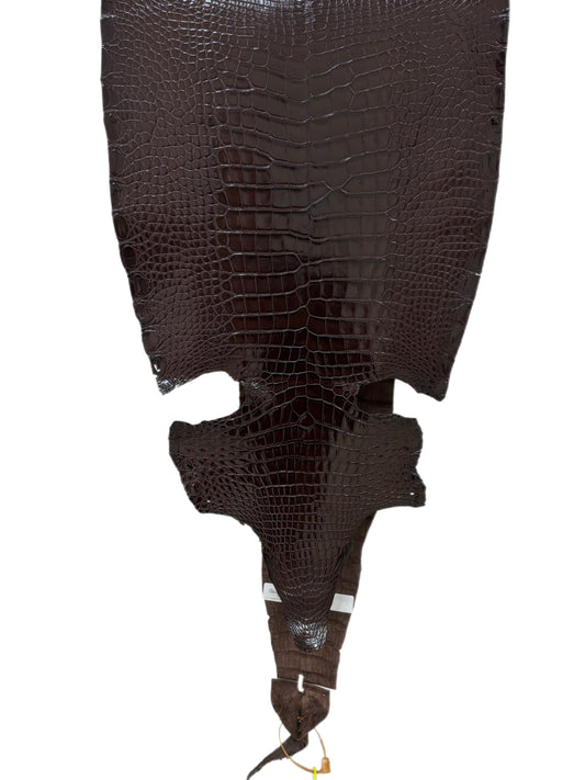 32 cm Grade 1/2 Chocolate Millennium Farm Raised American Alligator Leather - Tag: LA23-0531666