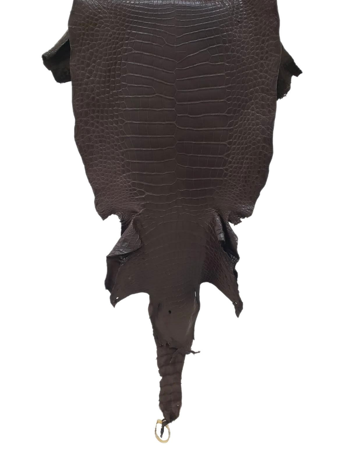 43 cm Grade 3/4 Chocolate Matte Wild American Alligator Leather - Tag: LA23-0028454