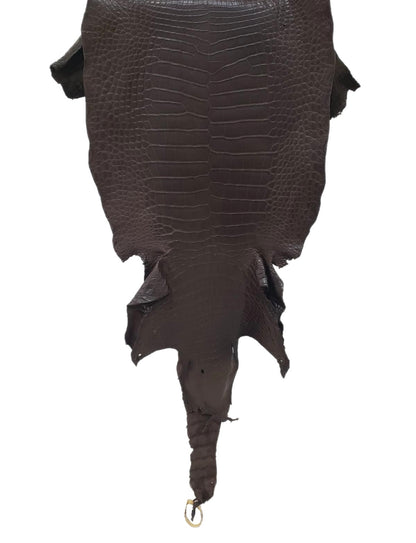 43 cm Grade 3/4 Chocolate Matte Wild American Alligator Leather - Tag: LA23-0028454