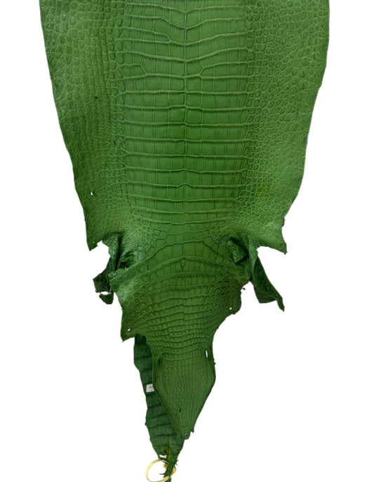 41 cm Grade 3/4 Jungle Green Matte Wild American Alligator Leather - Tag: LA23-0048187