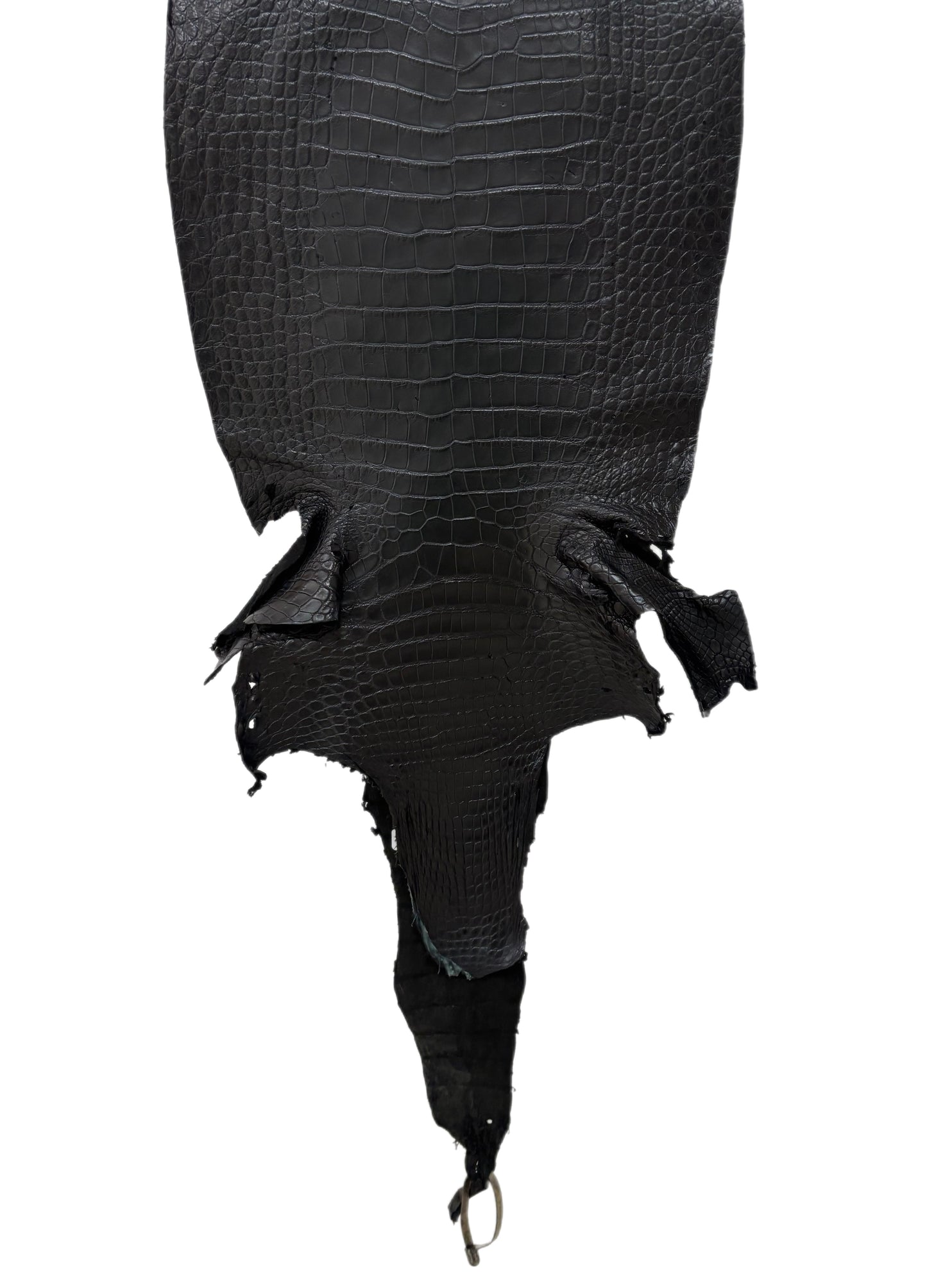 36 cm Grade 4/5 Black Matte Wild American Alligator Leather - Tag: LA16-0042741