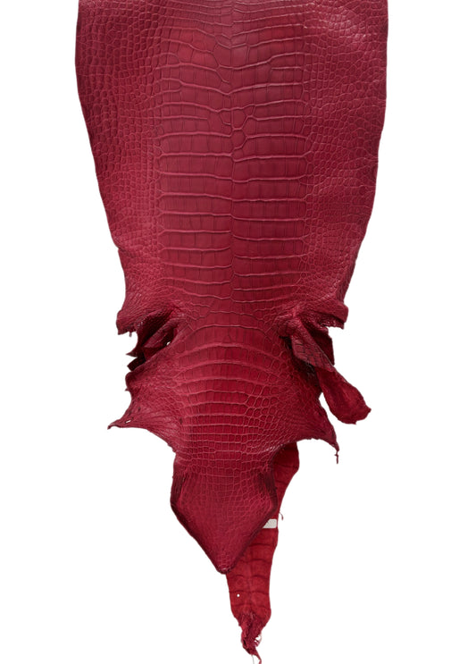 38 cm Grade 2/3 Scarlet Matte Wild American Alligator Leather - Tag: LA23-0047097