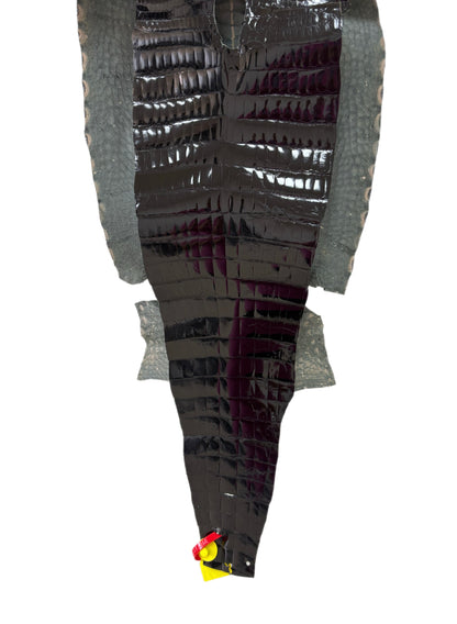 36 cm Grade 4/5 Black Glazed Wild American Alligator Leather - Tag: ITCC-0539902