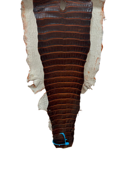 28 cm Grade 1/2 Sienna Matte Wild American Alligator Leather - Tag: ESRE-0050707