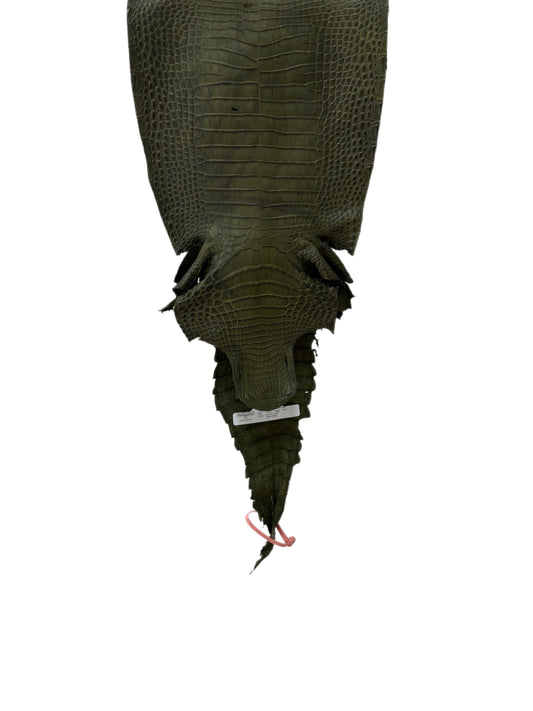 27 cm Grade 3/4 Olive Matte Farm-Raised American Alligator Leather - Tag: FL21-0024070