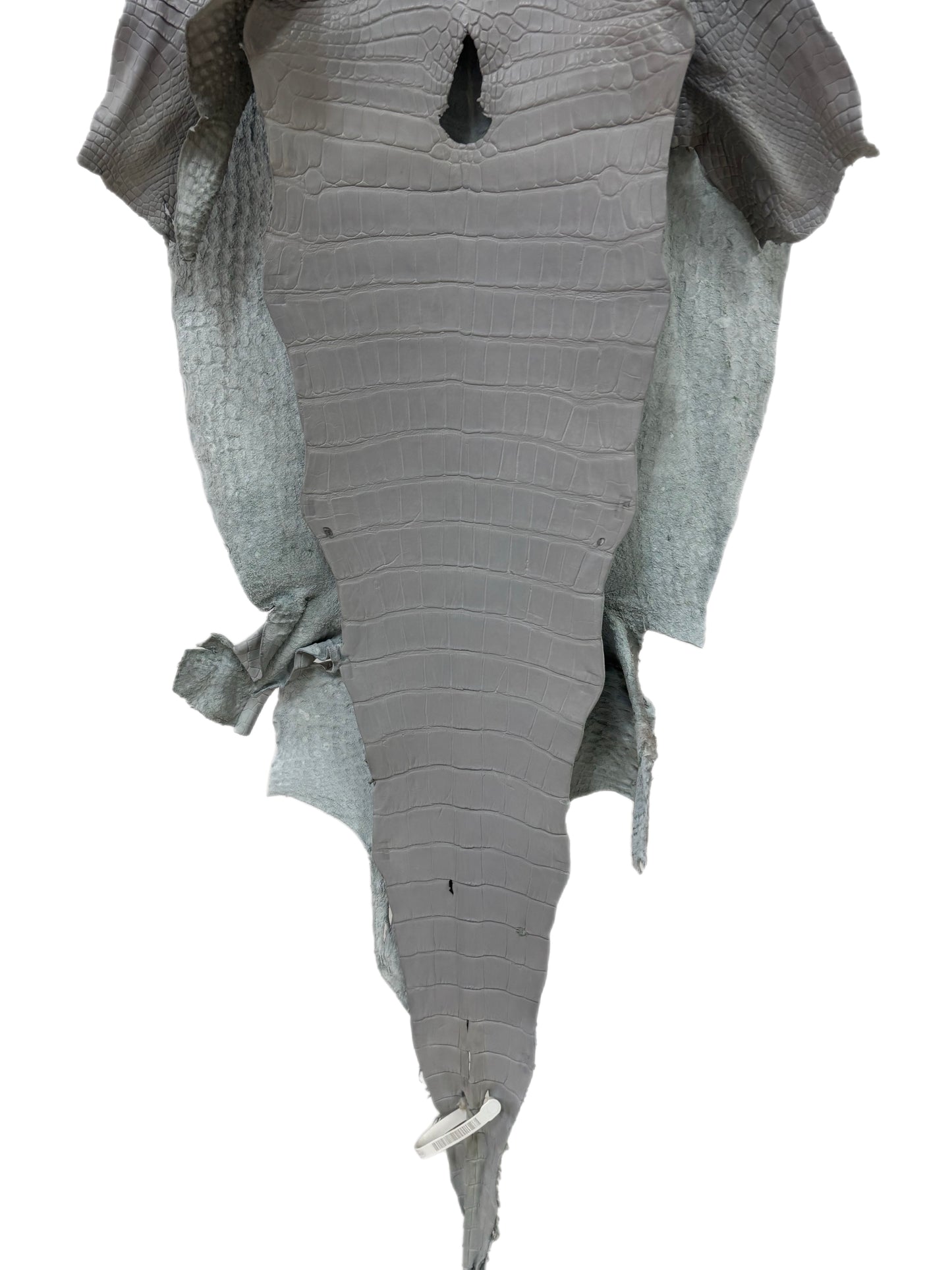 39 cm Grade 2/3 Glacier Matte Wild American Alligator Leather - Tag: LA23-0021513