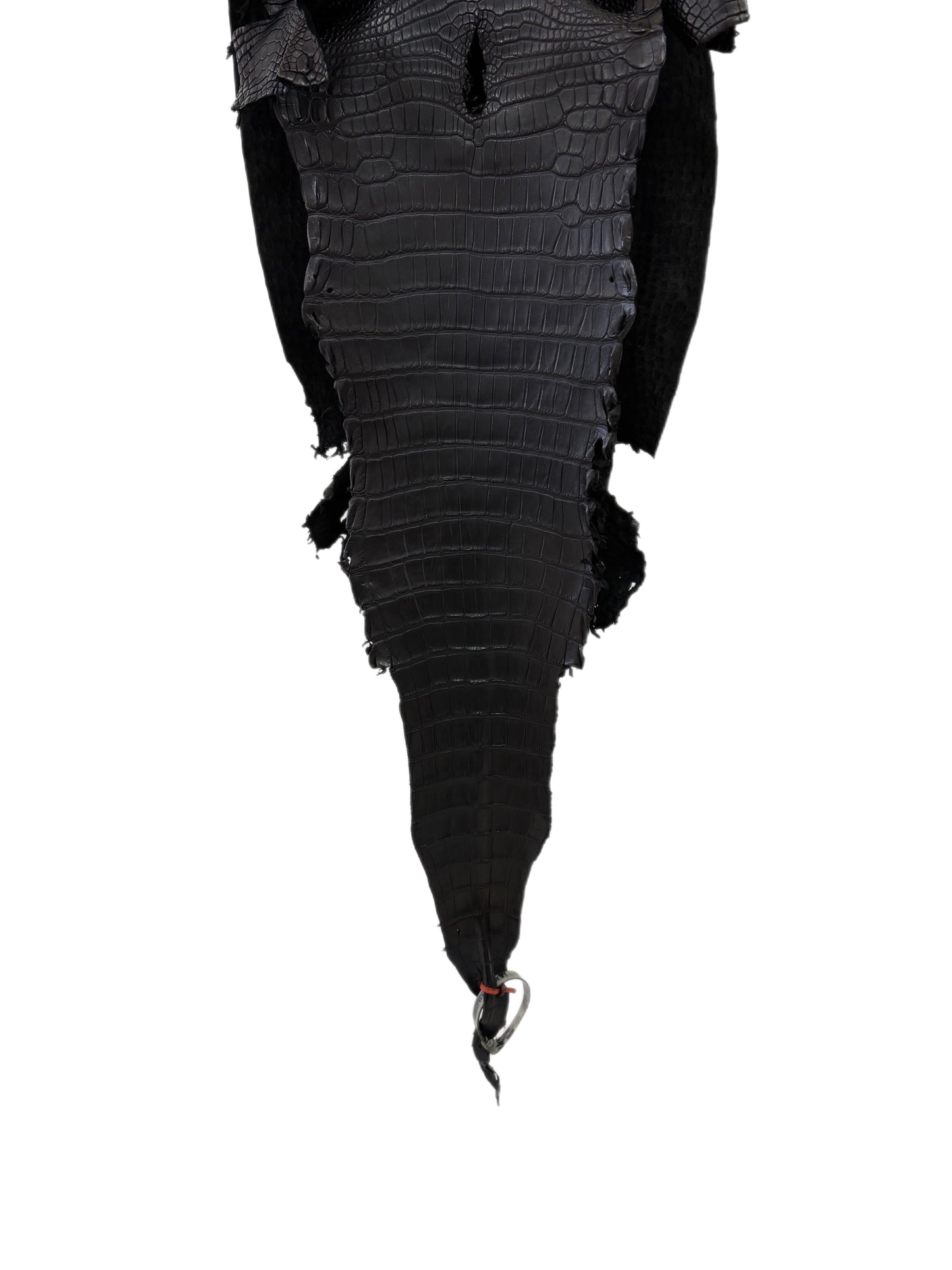32 cm Grade 2/3 Black Matte Farm-Raised American Alligator Leather - Tag: LA23-0531581