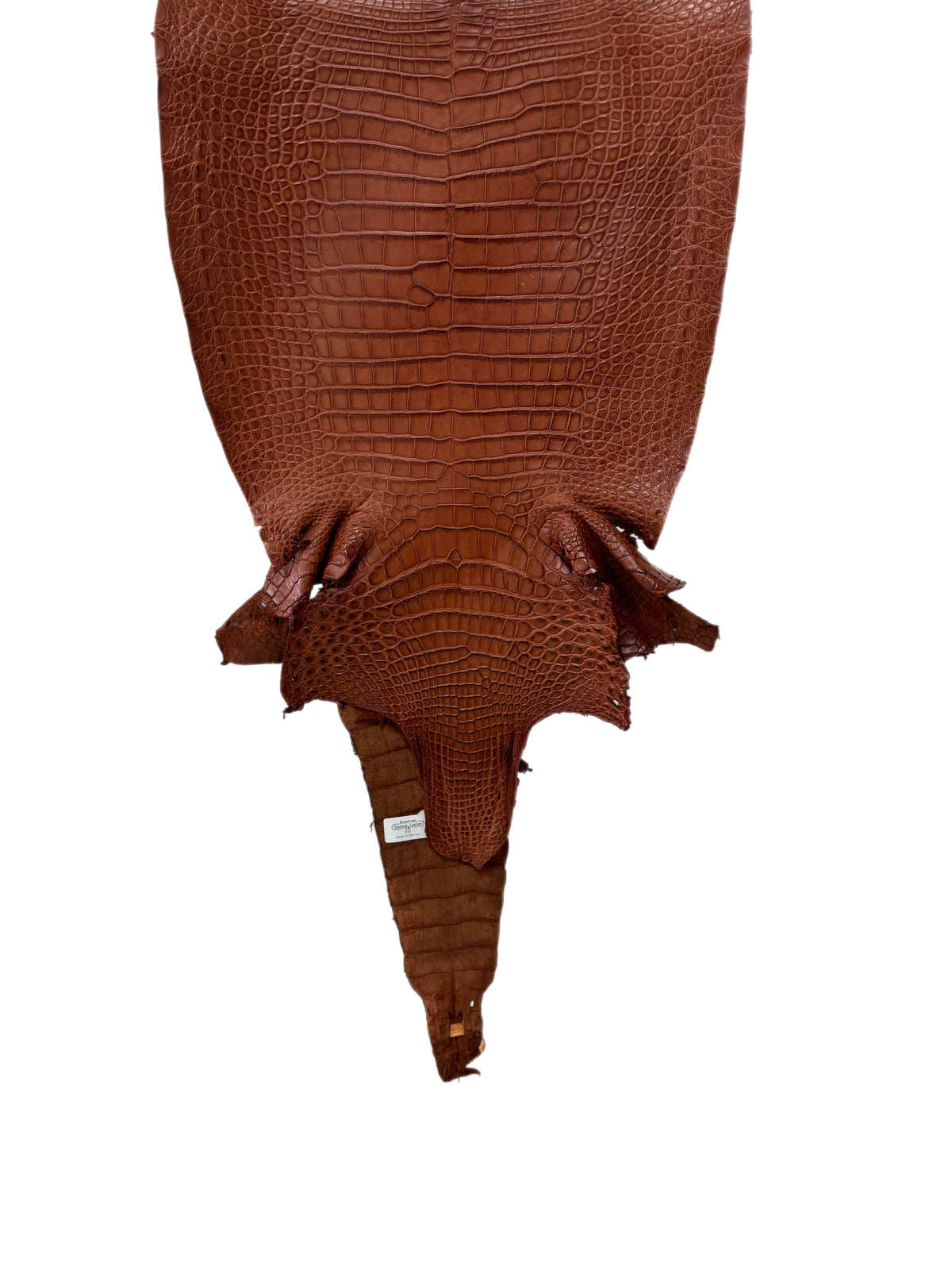 35 cm Grade 2/3 Rustic Cognac Desert Farm-Raised American Alligator Leather - Tag: FL17-0036954