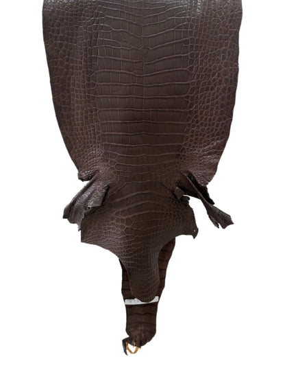 41 cm Grade 3/4 Chocolate Matte Wild American Alligator Leather - Tag: LA23-0033903