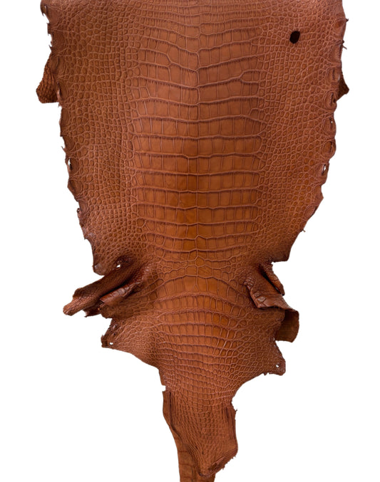 38 cm Grade 4/5 Cognac Matte Wild American Alligator Leather - Tag: LA23-0002853