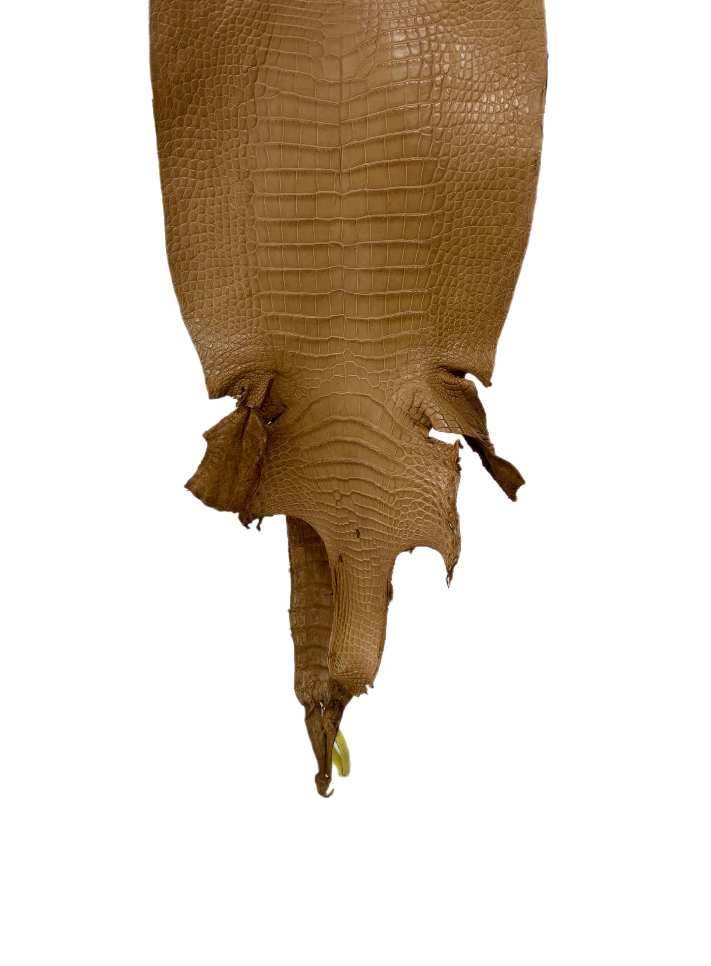 26 cm Grade 1/2 Antique Saddle Matte Wild American Alligator Leather - Tag: LA19-0037217