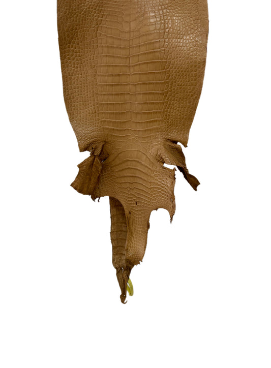 26 cm Grade 1/2 Antique Saddle Matte Wild American Alligator Leather - Tag: LA19-0037217