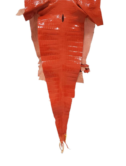 40 cm Grade 1/2 Mandarina Glazed Farm-Raised American Alligator Leather - Tag: LA14-0074051