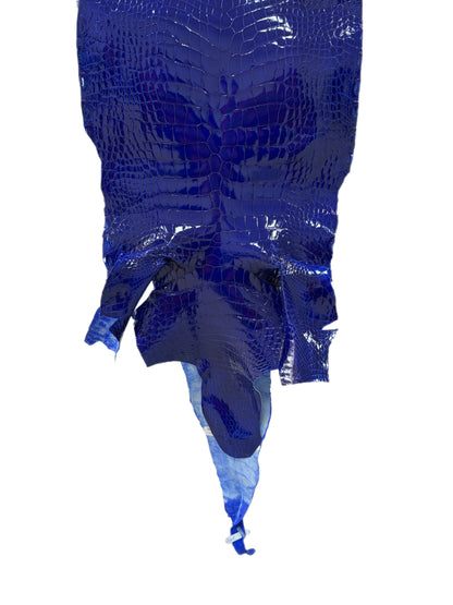 32 cm Grade 1/2 Electric Blue Glazed Wild American Alligator Leather - Tag: LA23-0022108