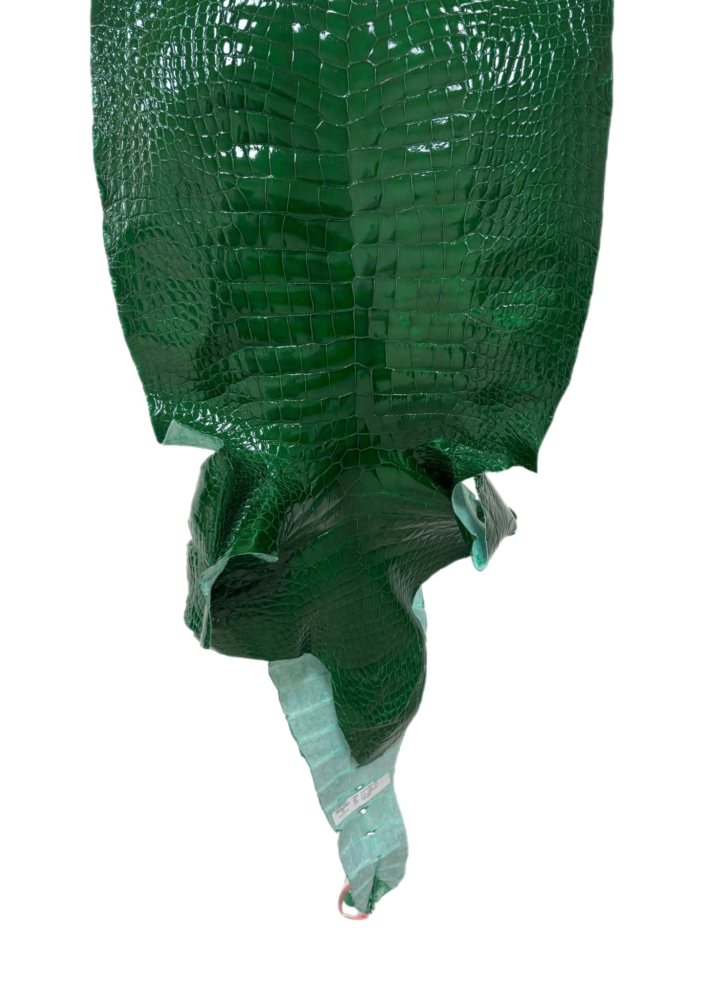 46 cm Grade 2/3 Kelly Green Glazed Wild American Alligator Leather - Tag: LA24-0025907