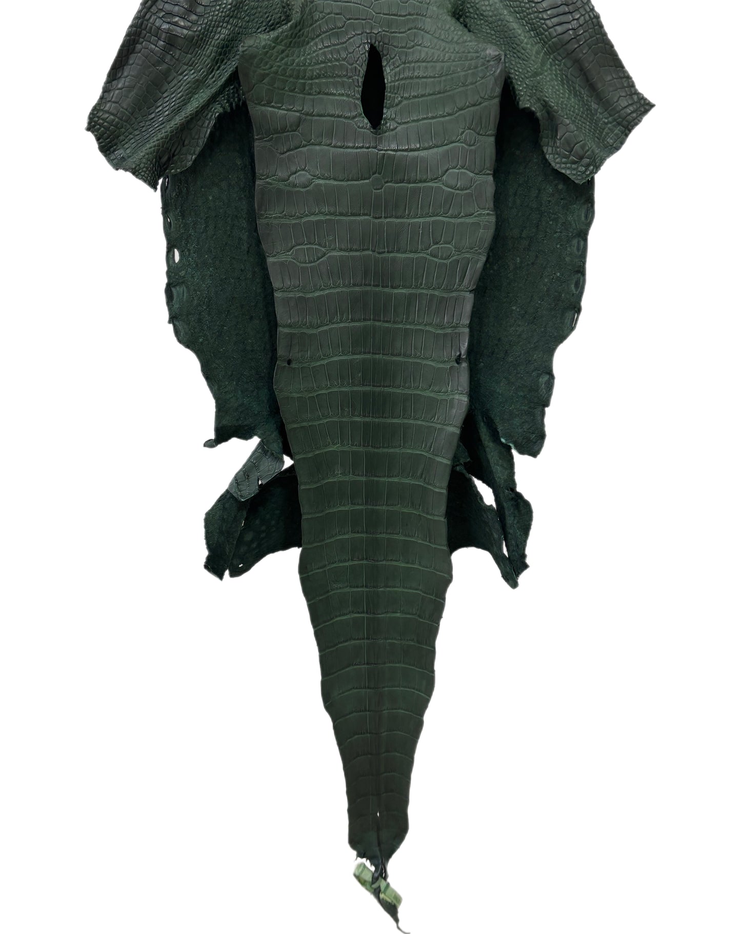 34 cm Grade 2/3 Forest Green Matte Wild American Alligator Leather - Tag: LA23-0051948