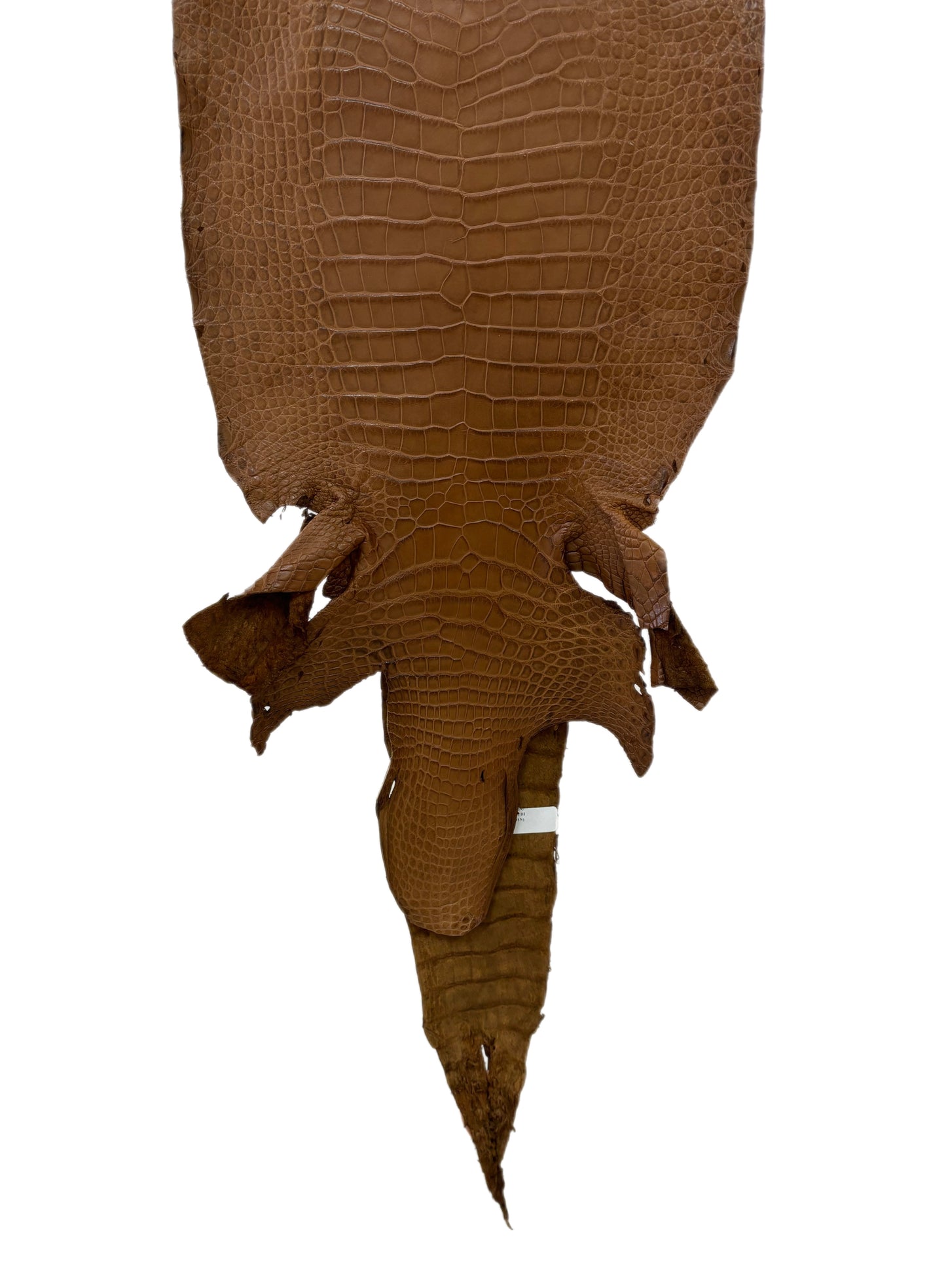 31 cm Grade 2/3 Kango Tabac Matte Wild American Alligator Leather - Tag: LA18-0037347